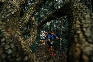 BIB: 
                            <button type="button" onclick="openModal(25702406)" class="btn btn-primary btn-sm float-right btn-popup" data-toggle="modal" data-target=".modal-high-quality">
                        <i class="fas fa-shopping-cart"></i> Add to Cart
                    </button>
                                            <button type="button" onclick="isThisMe(25702406, true)" class="btn btn-success btn-sm float-right btn-popup btn-isme hidden" data-toggle="tooltip" data-placement="bottom" title="นี่คือรูปของคุณใช่ไหม คลิกที่นี่เพื่อเอาเข้าอัลบั้ม">
                        <i class="fas fa-plus"></i> Add to album
                    </button>
                    <button type="button" onclick="isThisMe(25702406, false)" class="btn btn-warning btn-sm float-right btn-popup btn-isnotme hidden">
                        <i class="fas fa-ban"></i> Remove from album
                    </button>